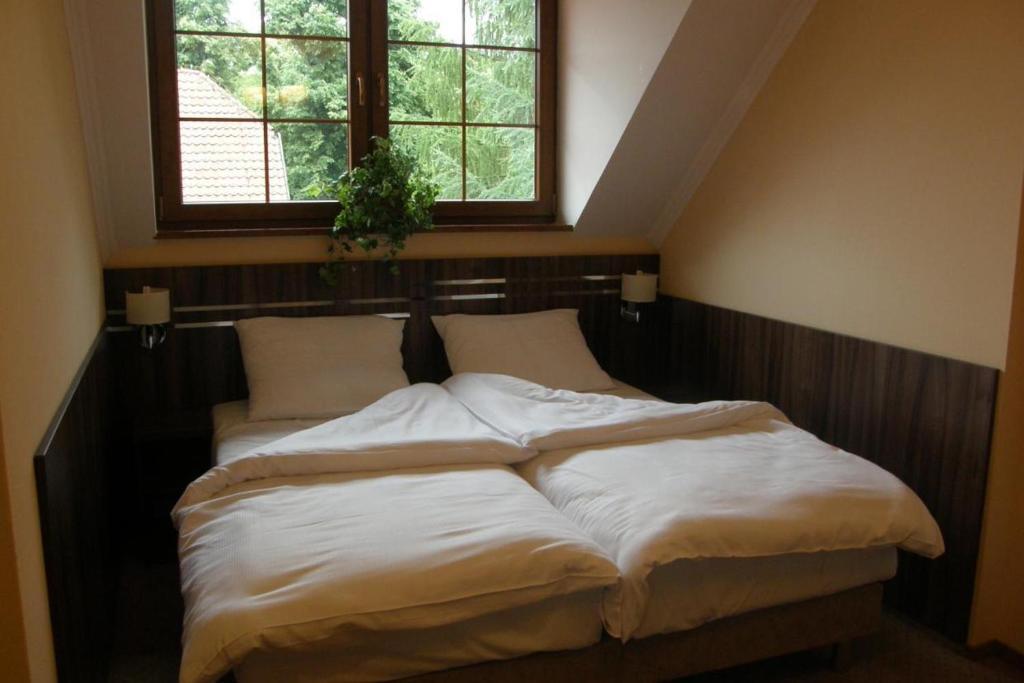Hotel Belfer Zaniemyśl Pokój zdjęcie
